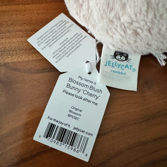 Jellycat Blossom Blush Bunny Cherry Medium NWT! Hard to find!! - Picture 4 of 4